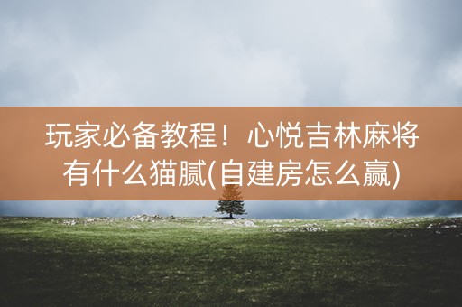 玩家必备教程！心悦吉林麻将有什么猫腻(自建房怎么赢)