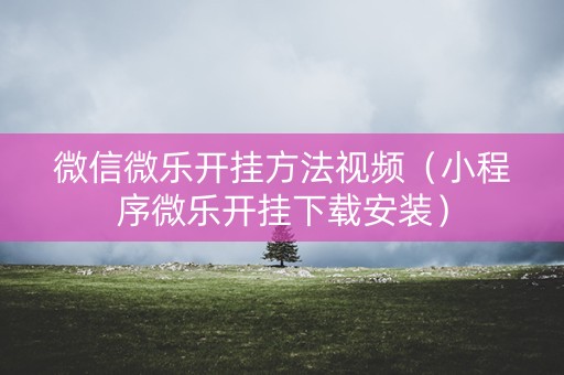 微信微乐开挂方法视频（小程序微乐开挂下载安装）