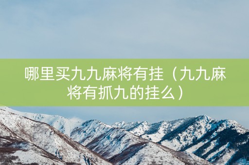 哪里买九九麻将有挂（九九麻将有抓九的挂么）