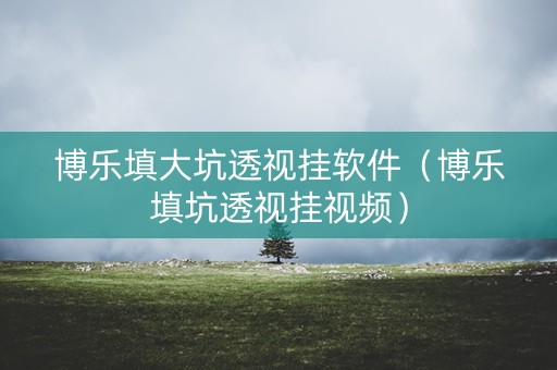博乐填大坑透视挂软件（博乐填坑透视挂视频）