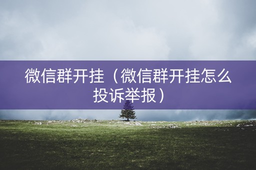 微信群开挂（微信群开挂怎么投诉举报）