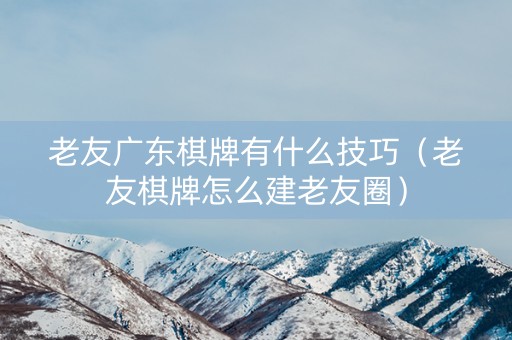 老友广东棋牌有什么技巧（老友棋牌怎么建老友圈）