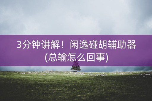 3分钟讲解！闲逸碰胡辅助器(总输怎么回事)