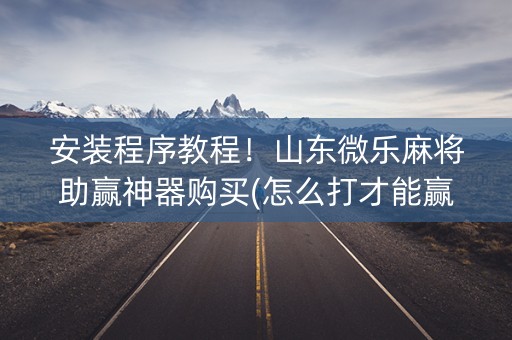 安装程序教程！山东微乐麻将助赢神器购买(怎么打才能赢)