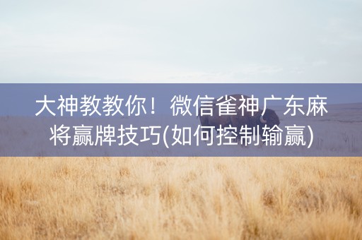 大神教教你！微信雀神广东麻将赢牌技巧(如何控制输赢)