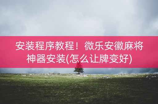 安装程序教程！微乐安徽麻将神器安装(怎么让牌变好)