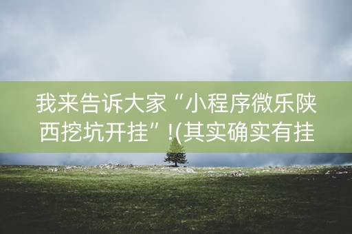 我来告诉大家“小程序微乐陕西挖坑开挂”!(其实确实有挂)-知乎