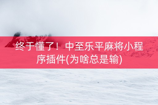 终于懂了！中至乐平麻将小程序插件(为啥总是输)