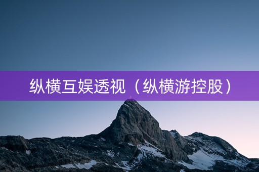 纵横互娱透视（纵横游控股）