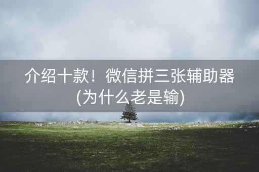 介绍十款！微信拼三张辅助器(为什么老是输)