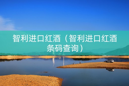 智利进口红酒（智利进口红酒条码查询）