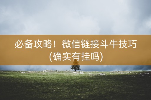必备攻略！微信链接斗牛技巧(确实有挂吗)