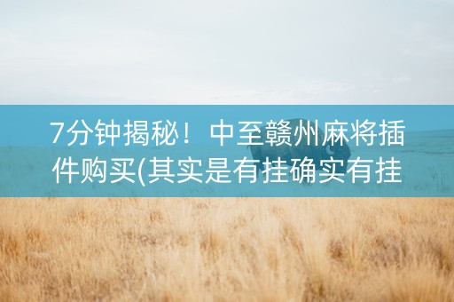 7分钟揭秘！中至赣州麻将插件购买(其实是有挂确实有挂)