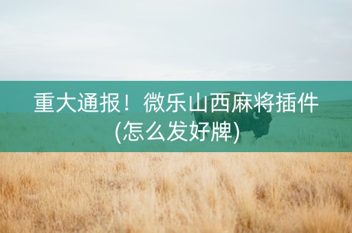 重大通报！微乐山西麻将插件(怎么发好牌)