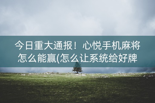 今日重大通报！心悦手机麻将怎么能赢(怎么让系统给好牌)