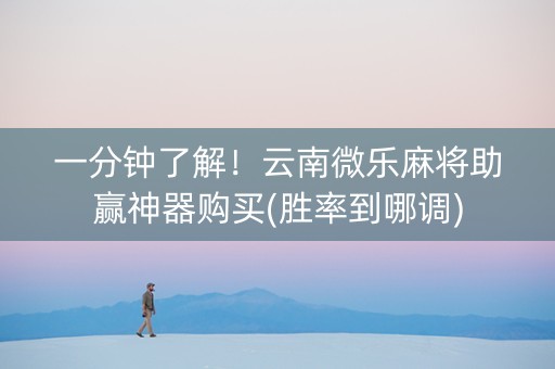 一分钟了解！云南微乐麻将助赢神器购买(胜率到哪调)