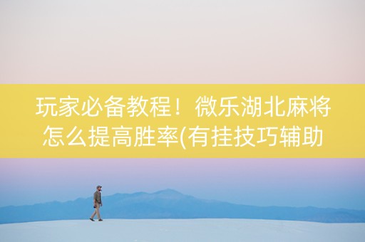 玩家必备教程！微乐湖北麻将怎么提高胜率(有挂技巧辅助器)