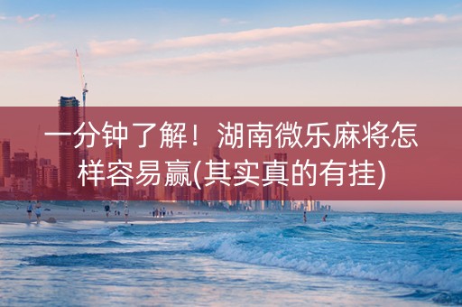 一分钟了解！湖南微乐麻将怎样容易赢(其实真的有挂)