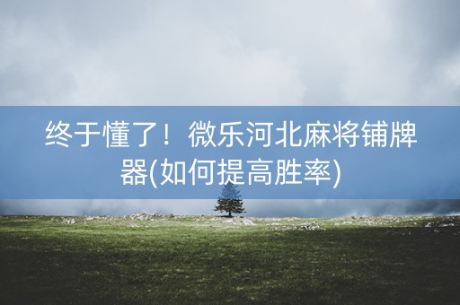 终于懂了！微乐河北麻将铺牌器(如何提高胜率)