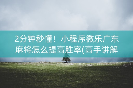 2分钟秒懂！小程序微乐广东麻将怎么提高胜率(高手讲解技术)
