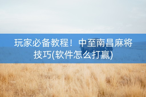 玩家必备教程！中至南昌麻将技巧(软件怎么打赢)