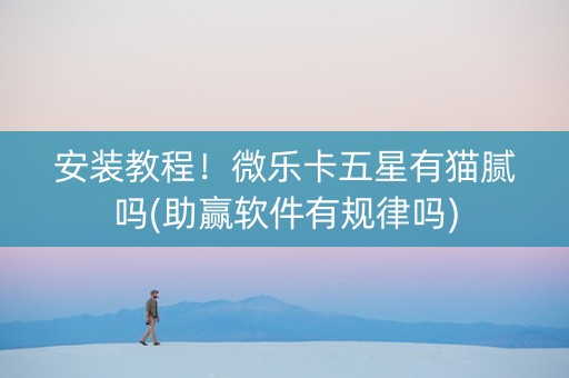 安装教程！微乐卡五星有猫腻吗(助赢软件有规律吗)