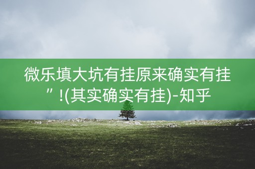 微乐填大坑有挂原来确实有挂”!(其实确实有挂)-知乎