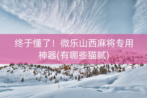 终于懂了！微乐山西麻将专用神器(有哪些猫腻)
