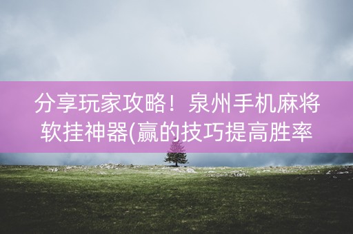 分享玩家攻略！泉州手机麻将软挂神器(赢的技巧提高胜率)