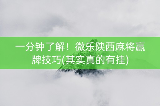 一分钟了解！微乐陕西麻将赢牌技巧(其实真的有挂)