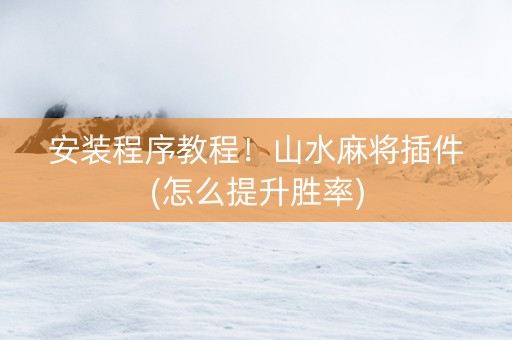 安装程序教程！山水麻将插件(怎么提升胜率)