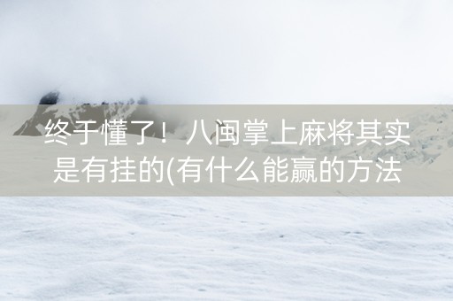 终于懂了！八闽掌上麻将其实是有挂的(有什么能赢的方法)