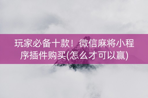 玩家必备十款！微信麻将小程序插件购买(怎么才可以赢)
