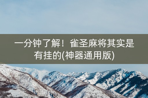 一分钟了解！雀圣麻将其实是有挂的(神器通用版)