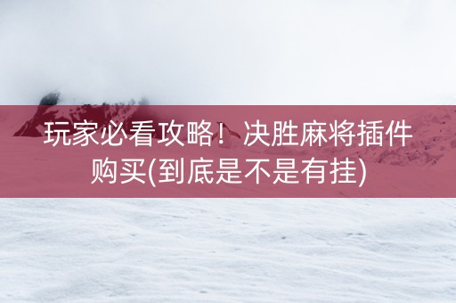 玩家必看攻略！决胜麻将插件购买(到底是不是有挂)