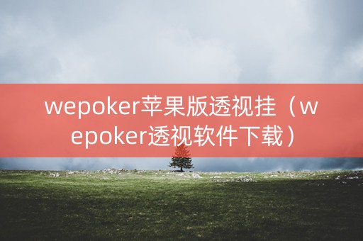 wepoker苹果版透视挂（wepoker透视软件下载）