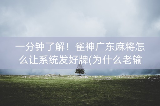 一分钟了解！雀神广东麻将怎么让系统发好牌(为什么老输)