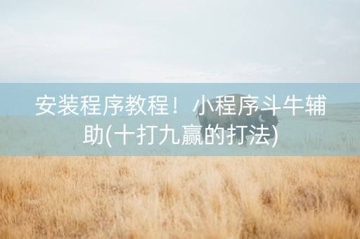 安装程序教程！小程序斗牛辅助(十打九赢的打法)