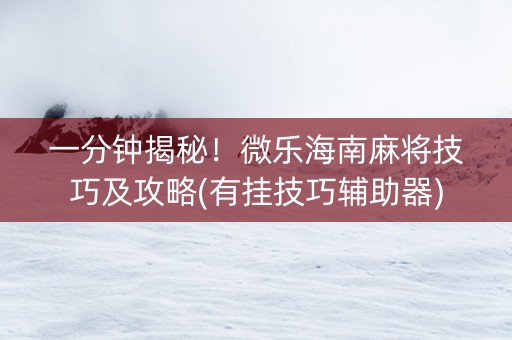 一分钟揭秘！微乐海南麻将技巧及攻略(有挂技巧辅助器)