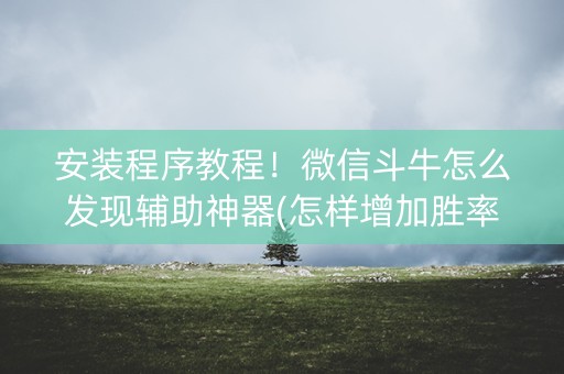 安装程序教程！微信斗牛怎么发现辅助神器(怎样增加胜率)