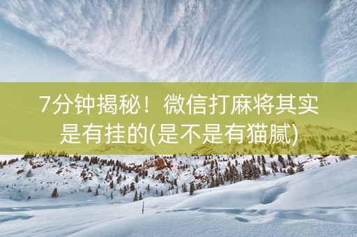 7分钟揭秘！微信打麻将其实是有挂的(是不是有猫腻)