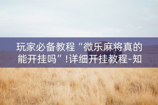 玩家必备教程“微乐麻将真的能开挂吗”!详细开挂教程-知乎