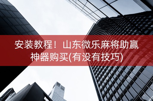 安装教程！山东微乐麻将助赢神器购买(有没有技巧)