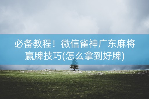 必备教程！微信雀神广东麻将赢牌技巧(怎么拿到好牌)