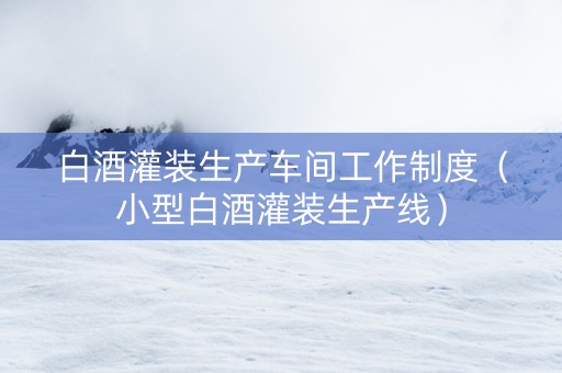 白酒灌装生产车间工作制度（小型白酒灌装生产线）