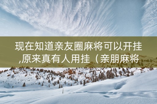 现在知道亲友圈麻将可以开挂,原来真有人用挂（亲朋麻将有挂吗）