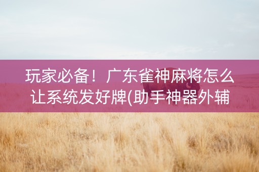 玩家必备！广东雀神麻将怎么让系统发好牌(助手神器外辅工具)