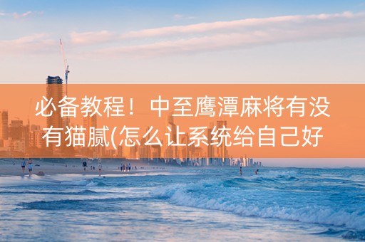 必备教程！中至鹰潭麻将有没有猫腻(怎么让系统给自己好牌)