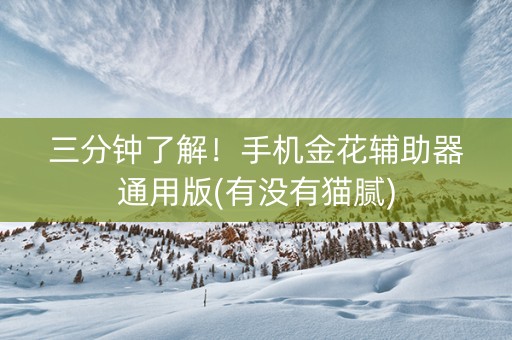 三分钟了解！手机金花辅助器通用版(有没有猫腻)