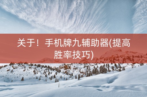 关于！手机牌九辅助器(提高胜率技巧)